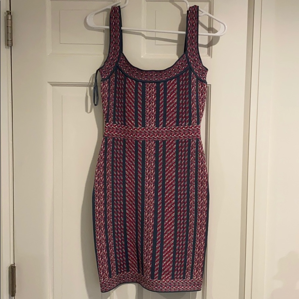 BCBG Bodycon Dress